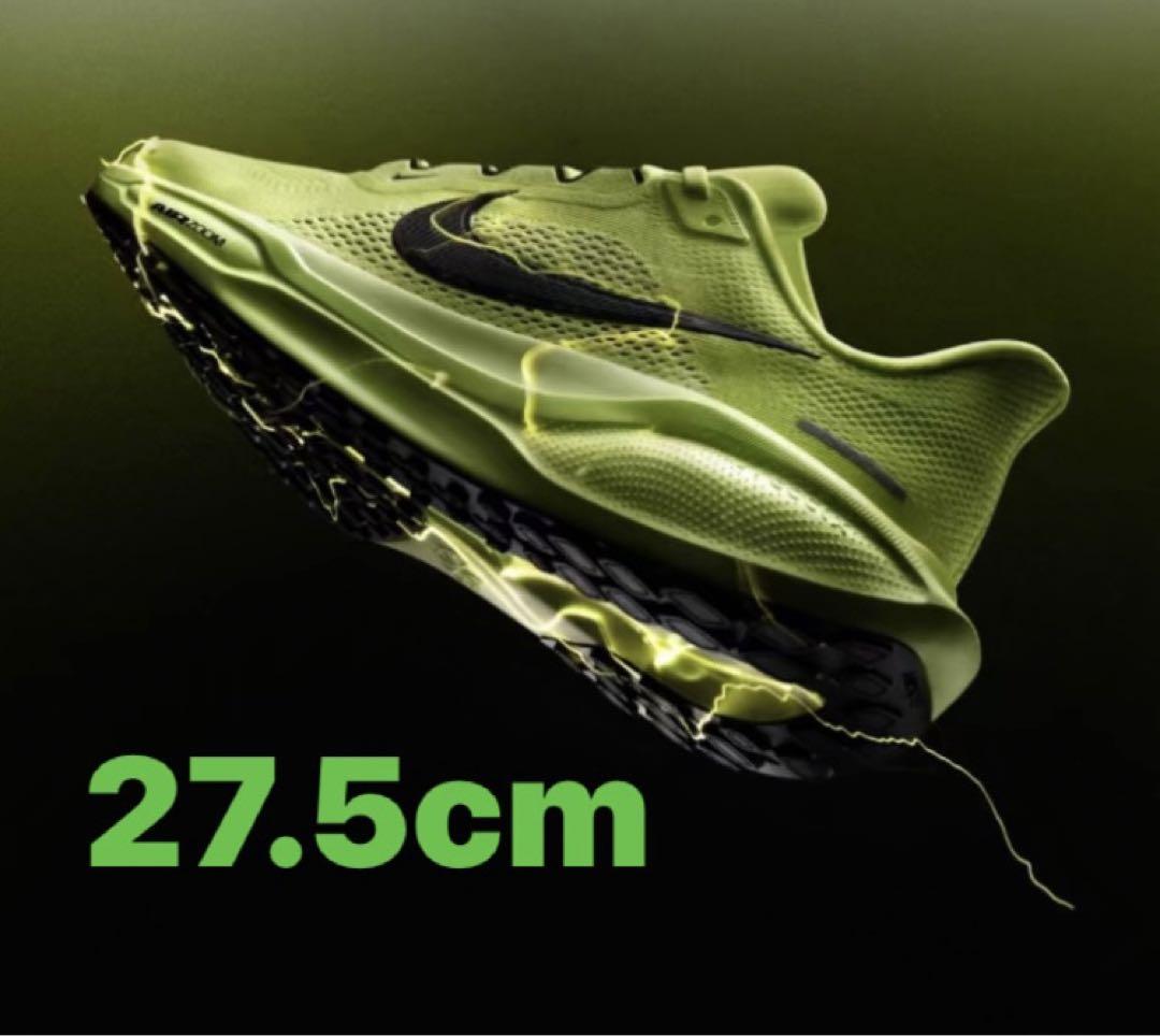 NIKE ズーム ペガサス41 27.5センチ NIKE ナイキ メンズ ロード ランニングシューズ ZOOM PEGASUS 41