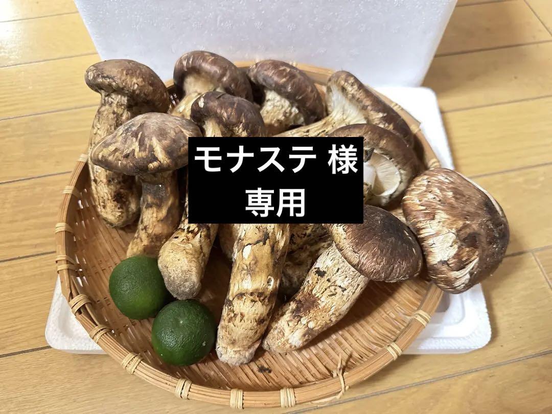 中国産 松茸 約2kg まつたけ マツタケ。 中国産 松茸 約2kg まつたけ マツタケ。モナステ様専用！（中国