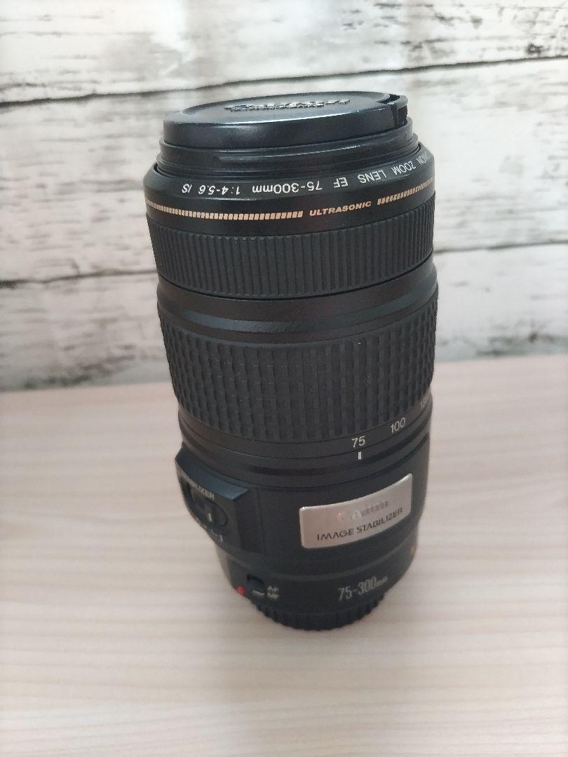 キャノン 望遠レンズ 手ブレ補正 EF75-300ⅿⅿ ズームレンズ