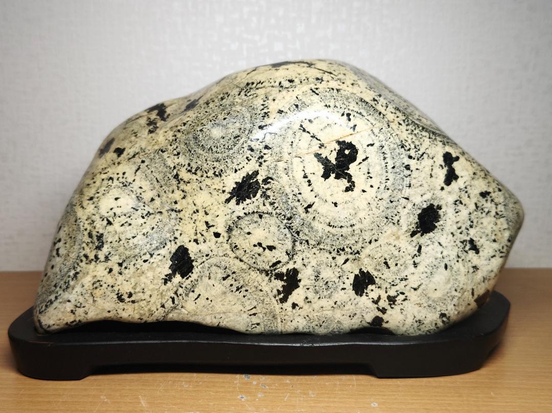 天然石　鑑賞石　ナポレオン石　時計石　置物　重さ約4.7kg　C　R7074 天然石 鑑賞石 ナポレオン石 時計石 置物 重さ約4.7kg C R7074