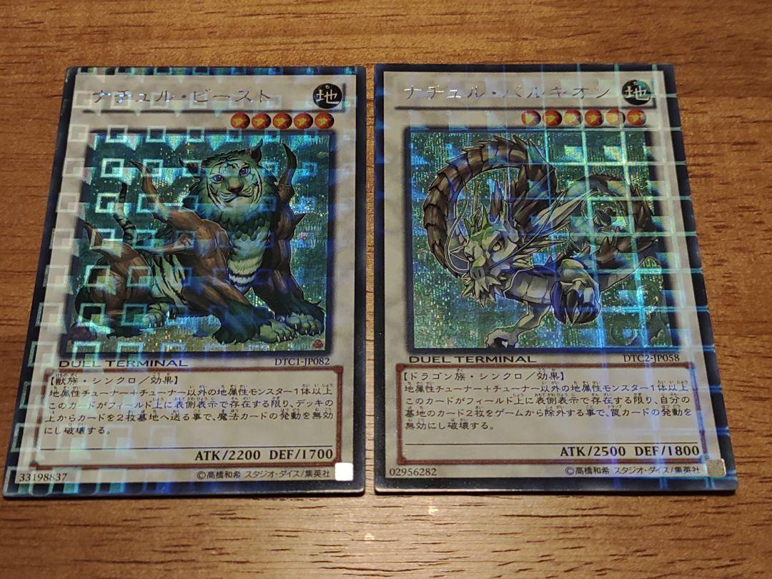 遊戯王　ナチュルパルキオン　DTC シークレット ARS鑑定 10】ナチュルパルキオン DTC シークレットレア 貴重