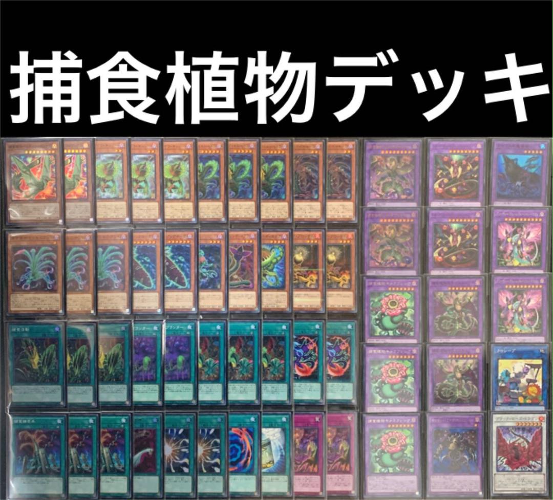 遊戯王 捕食植物デッキ 2重スリーブ 40枚+15枚 本格構築
