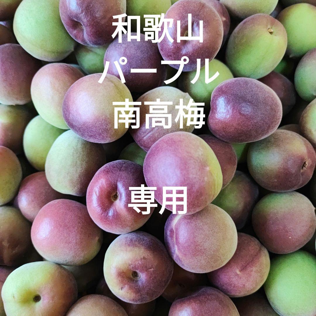 和歌山県紀南産　パープル南高梅5㎏ L 雹キズ Amazon | 梅 パープルキング 秀品 ☆4L～Sサイズ 5kg 和歌山県産