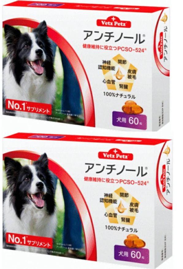 犬用 アンチノールプラス 60粒×10箱 アンチノールプラス 60粒入り : 仁友堂 - 通販 - Yahoo!ショッピング