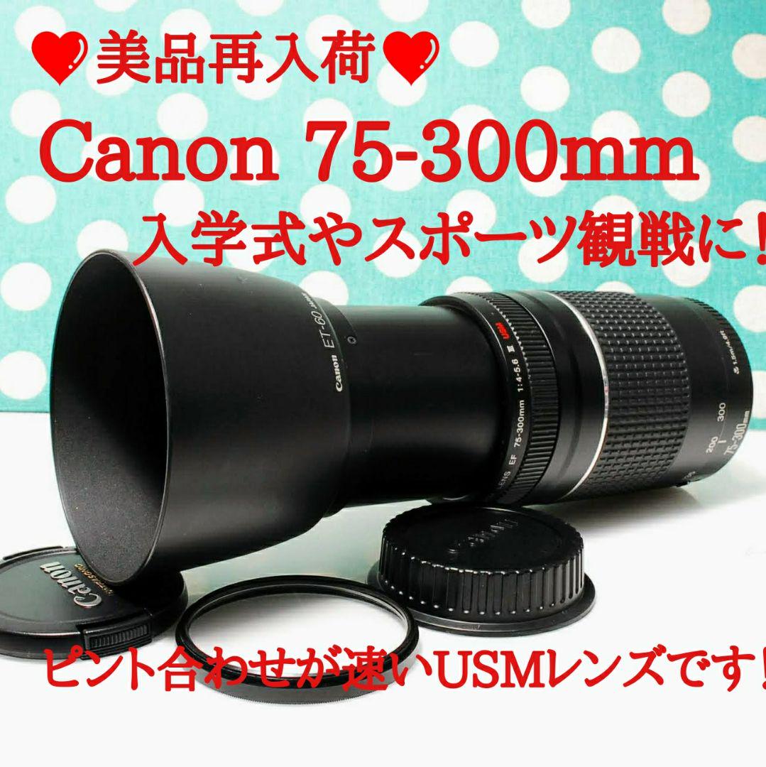 【美品】キャノン Canon EF 75-300mm II 超望遠 EF75-300mm f/4-5.6 II - キヤノンカメラミュージアム