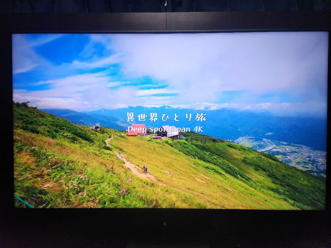 LG 4K液晶テレビ49V型　49SK8500PJA　YouTube　ネトフリ LG 4K液晶テレビ49V型 49SK8500PJA YouTube ネトフリ （2020年