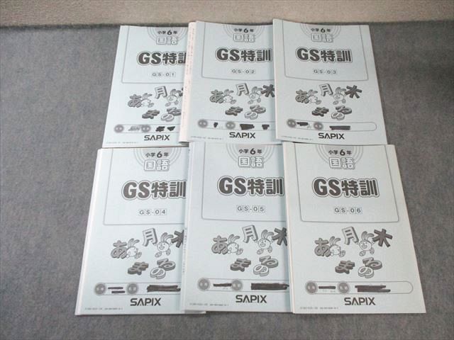 SAPIX 小6 サピックス GS特訓 国語 通年セット 【計6回分】 2019 025S2D SAPIX 小6 サピックス GS特訓 国語 通年セット 【計6回分】 2019