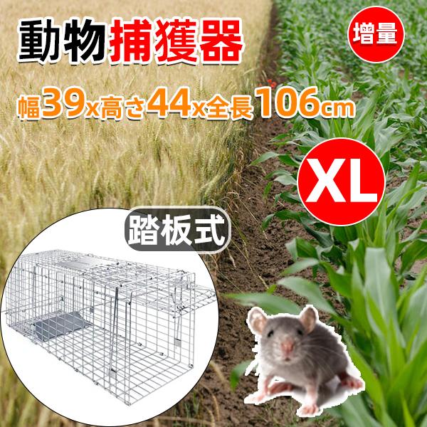 猫 捕獲器 アニマルトラップ5個 箱罠 くくりわな アライグマ