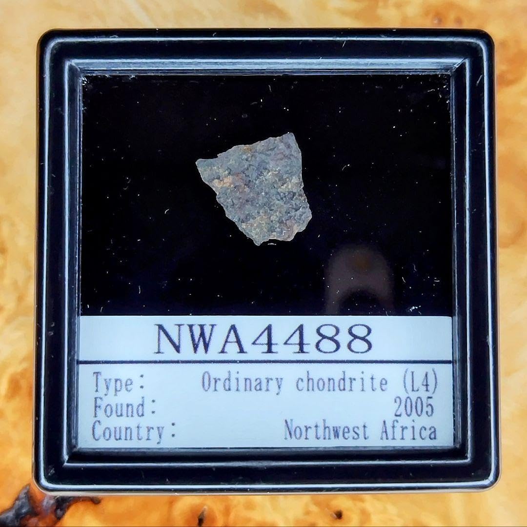 レア！NWA4488 隕石標本 レア！NWA4488隕石標本 （NWA 13951 月隕石 750 4.85g - 鉱物