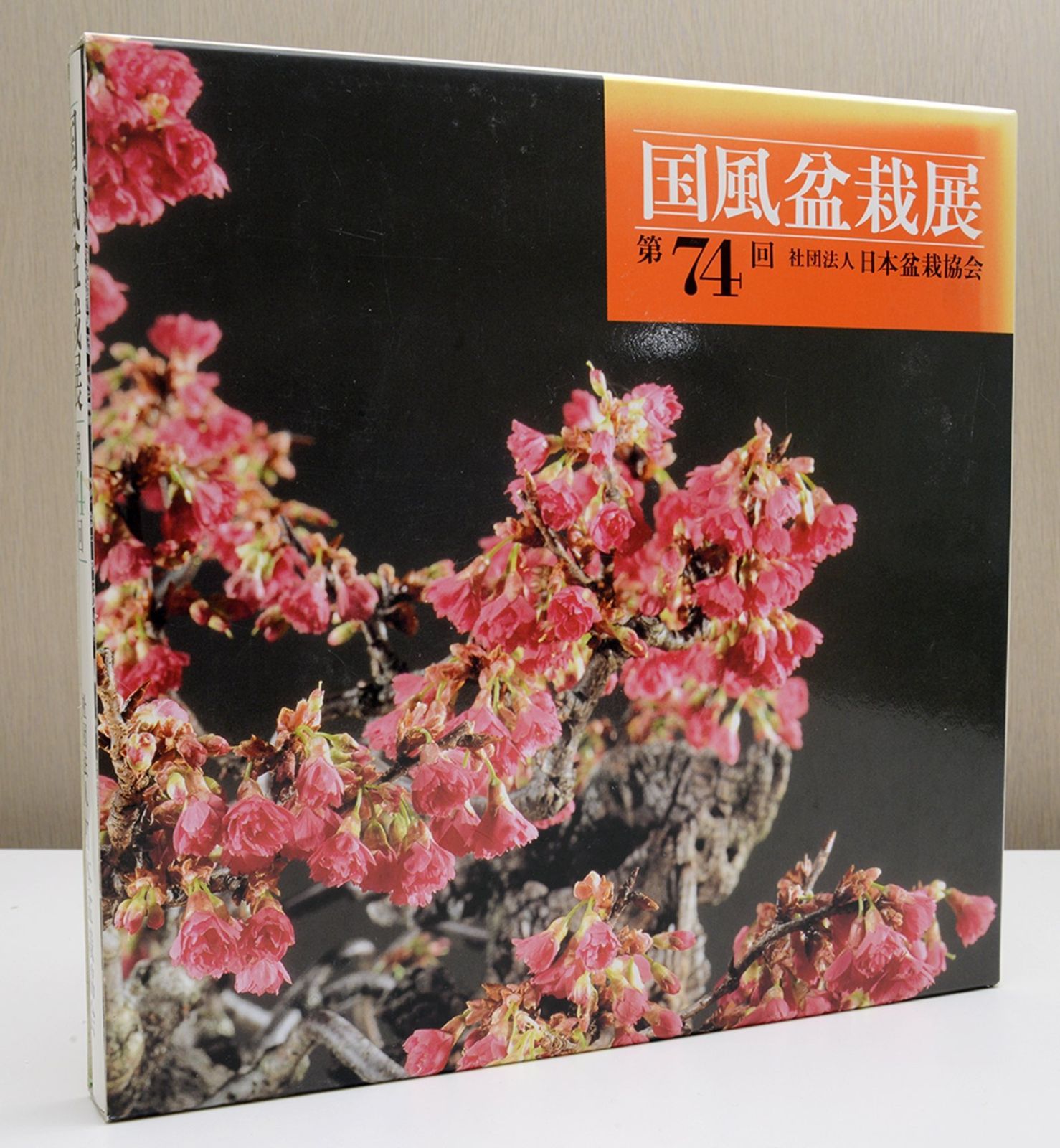 国風盆栽展 第58回〜第75回 (第74回は中抜け) 計17冊 国風盆栽展 第74回（国風盆栽展 第58回〜第75回 (第74回は中抜け