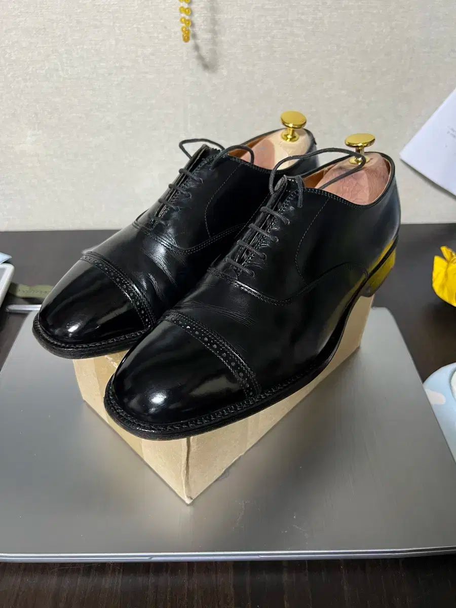 ALDEN(オールデン) 901 カーフスキン パンチ キャプト