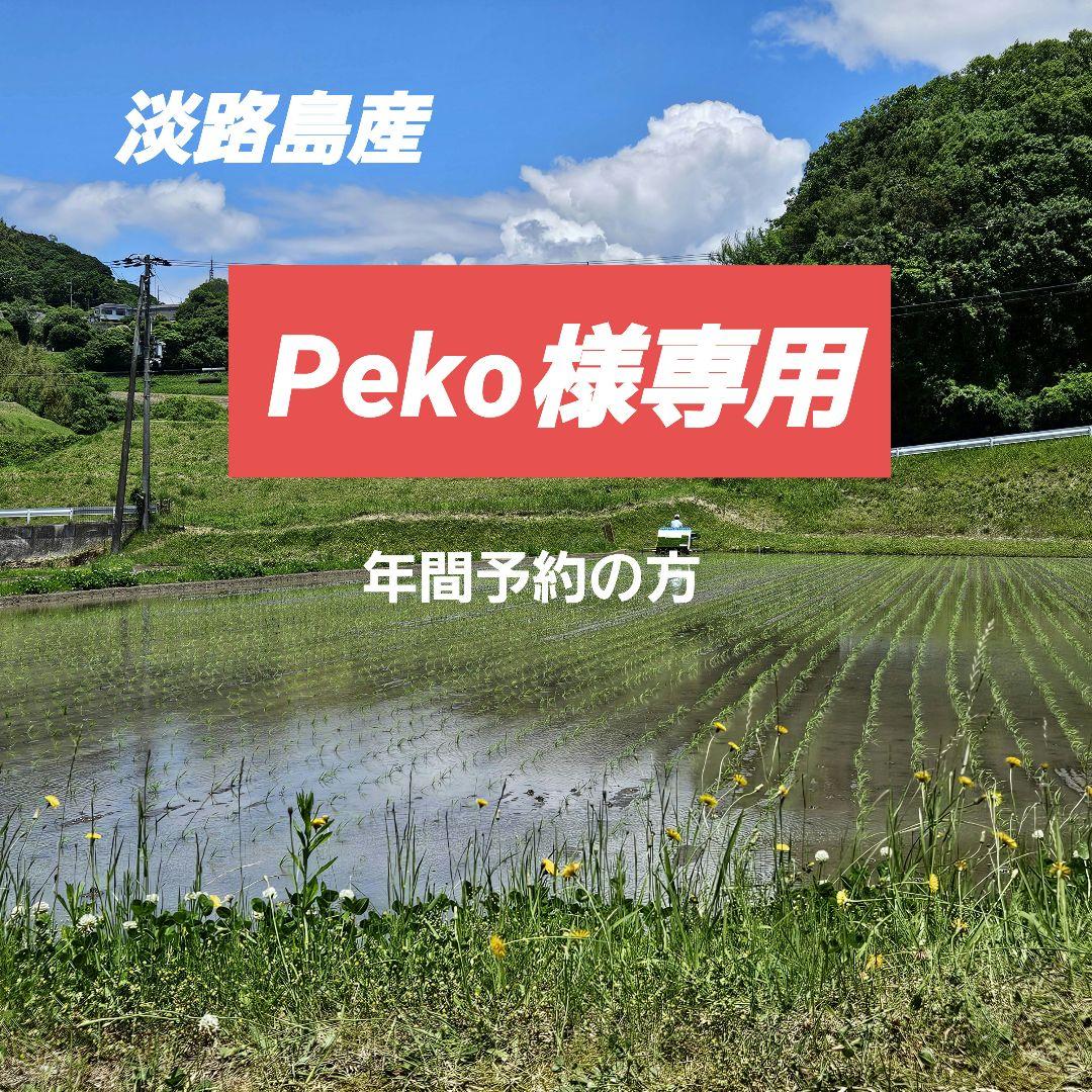 淡路島産キヌヒカリ専用ページ （楽天市場】【ふるさと納税