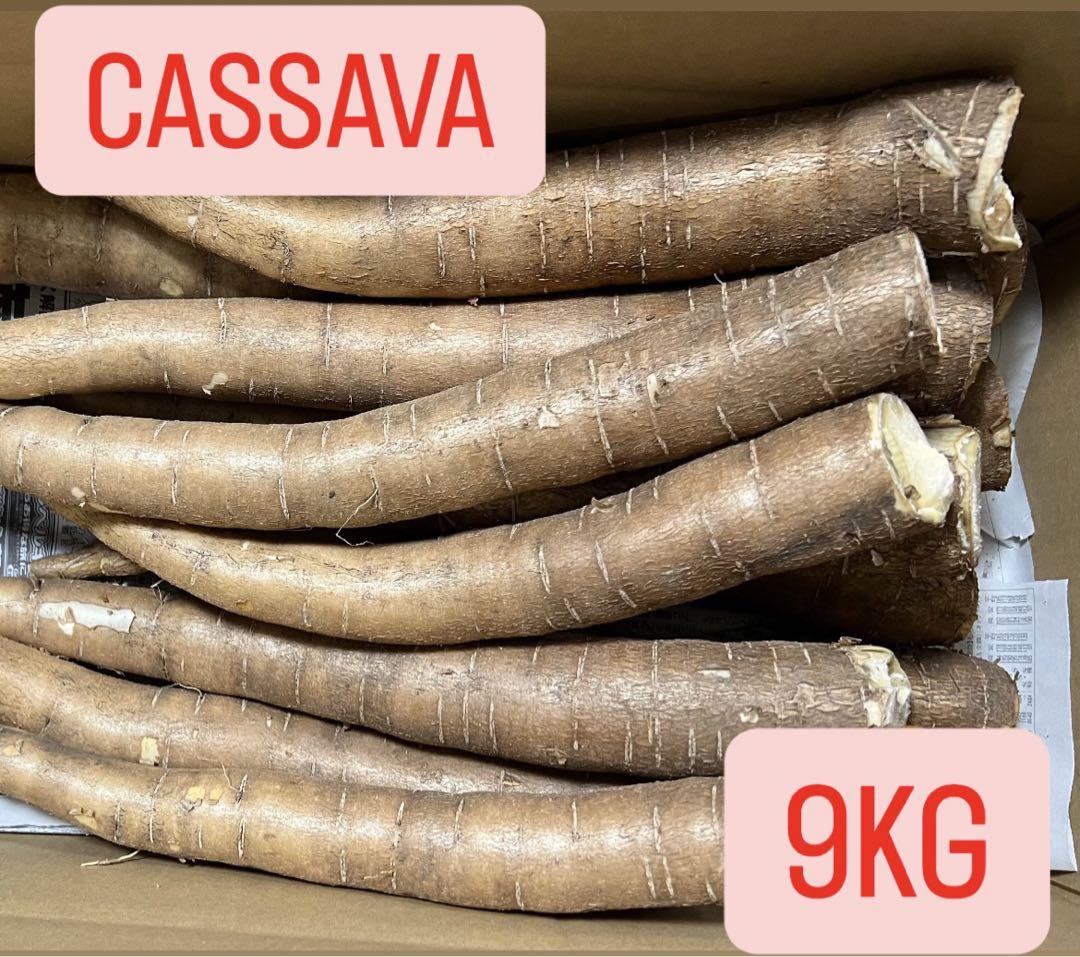 manjoca】キャッサバ芋 9kg（貴重な国産キャッサバ芋使用 徳之島